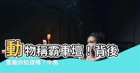 牛馬蛙意思